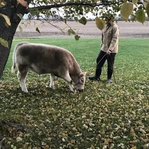 Meet your Posher, Gannon